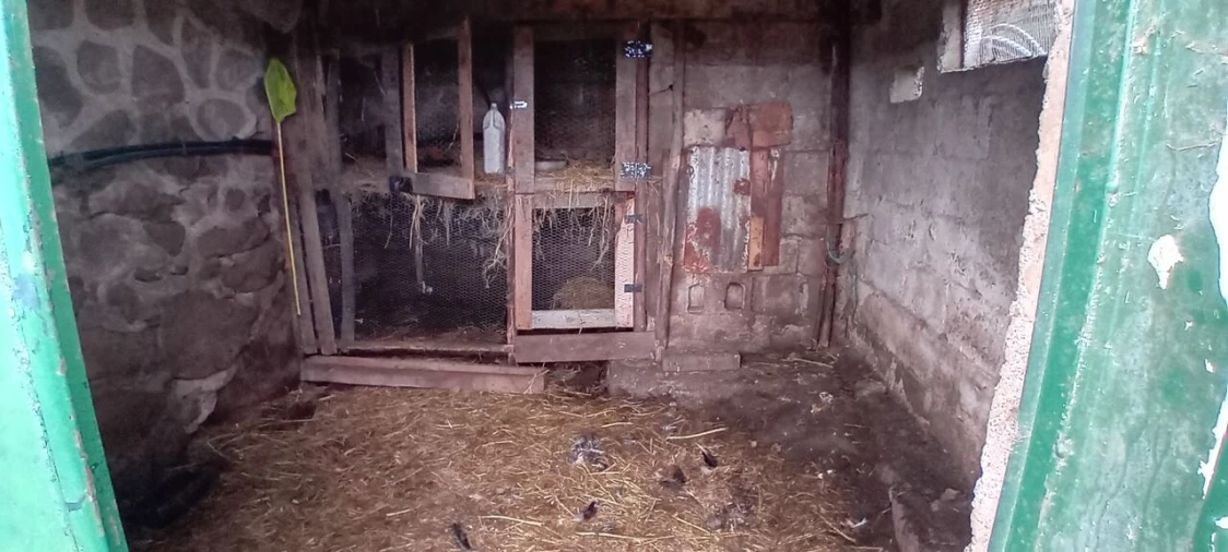 Moradia T1 para Venda em Anhões e Luzio Foto 7