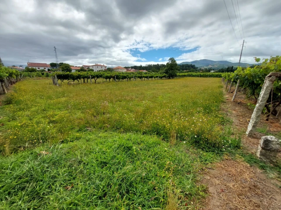 Terreno para Venda em Monção e Troviscoso Foto 2