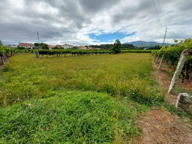 Terreno para Venda em Monção e Troviscoso Foto 2