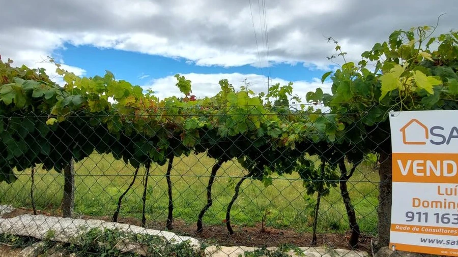 Terreno para Venda em Monção e Troviscoso