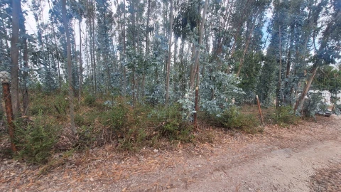 Terreno para Venda em Marrazes e Barosa