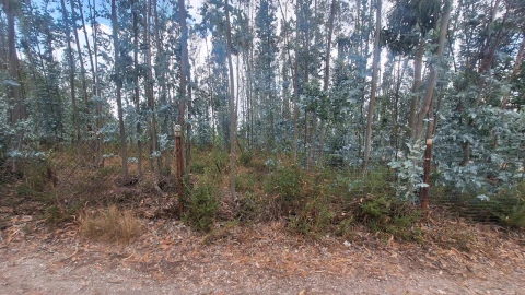 Terreno para Venda em Marrazes e Barosa