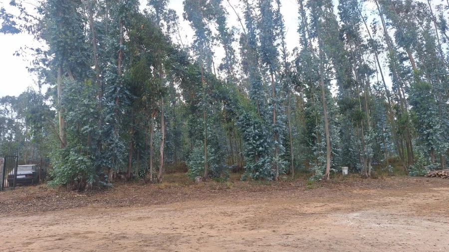 Terreno para Venda em Marrazes e Barosa Foto 2