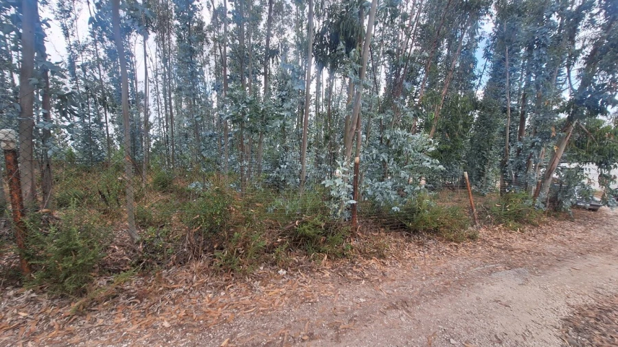 Terreno para Venda em Marrazes e Barosa Foto 3