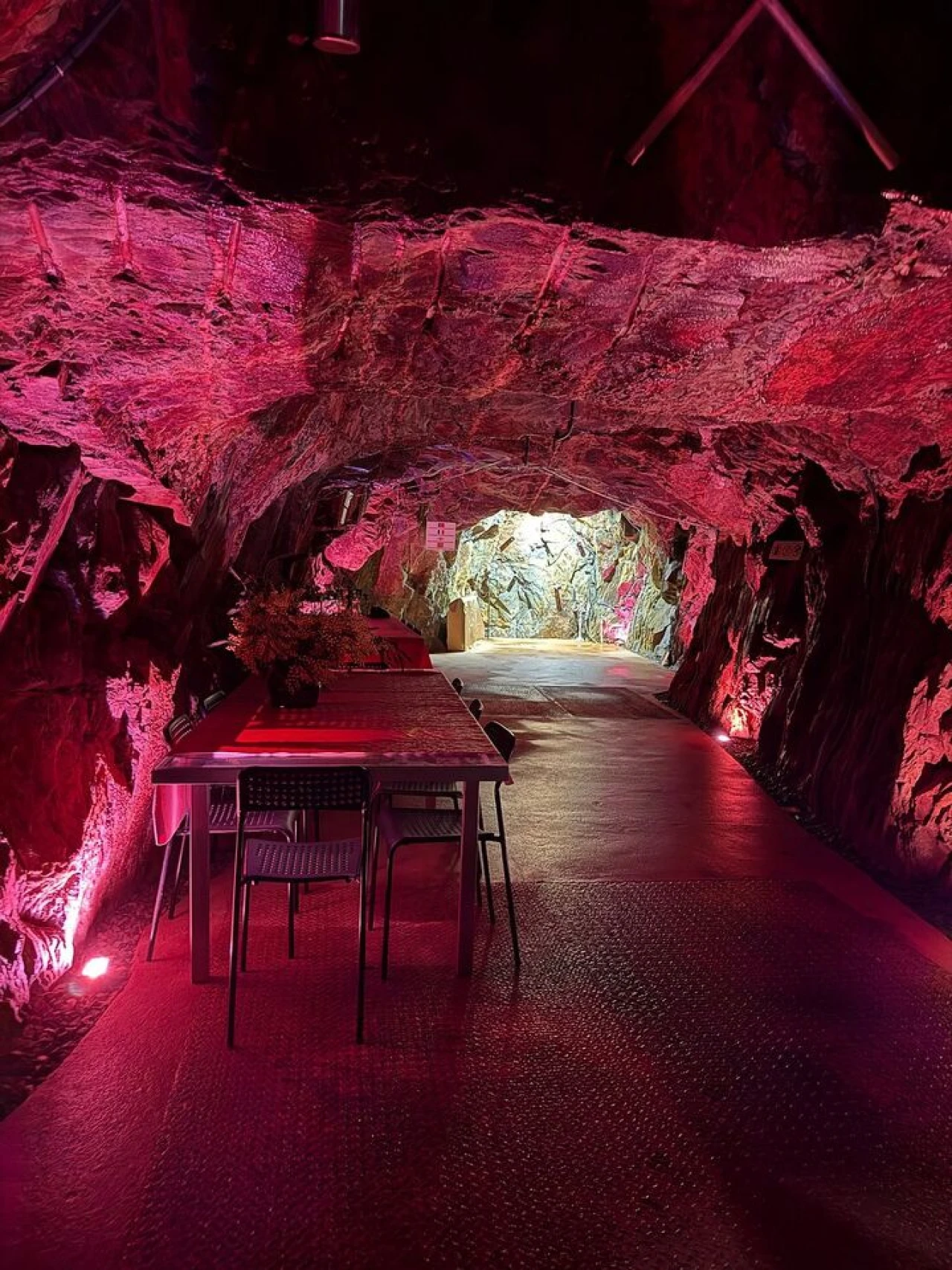 Quinta T9 para Venda em Barco e Coutada Foto 41