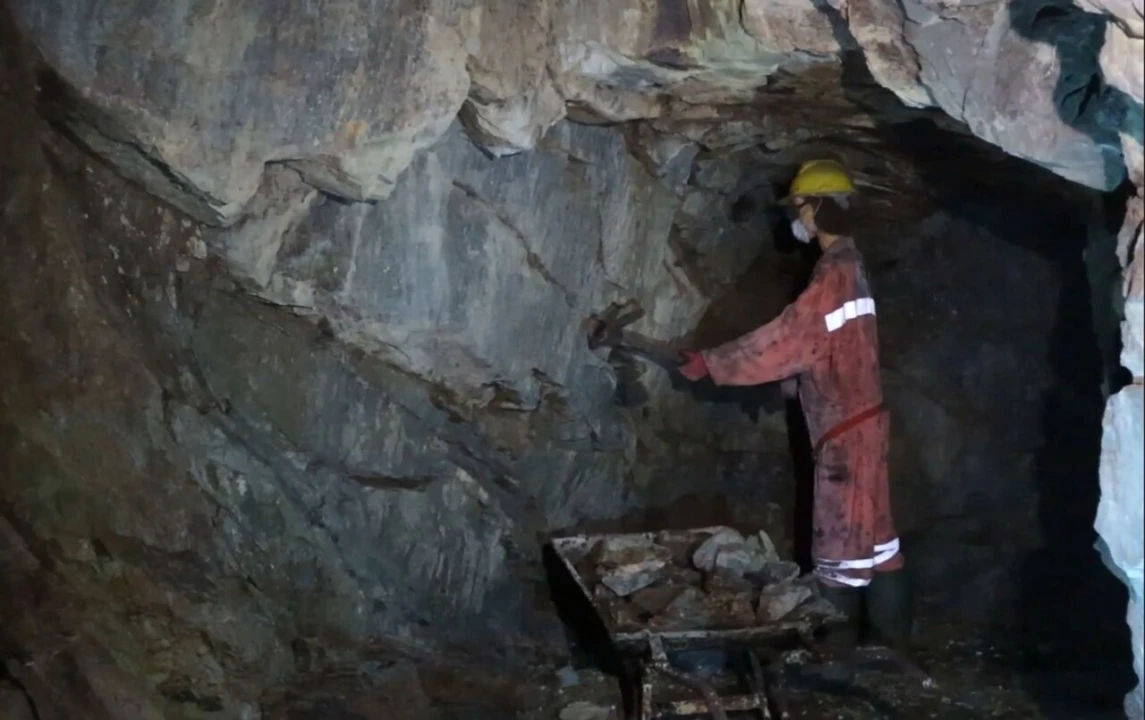 Quinta T9 para Venda em Barco e Coutada Foto 52