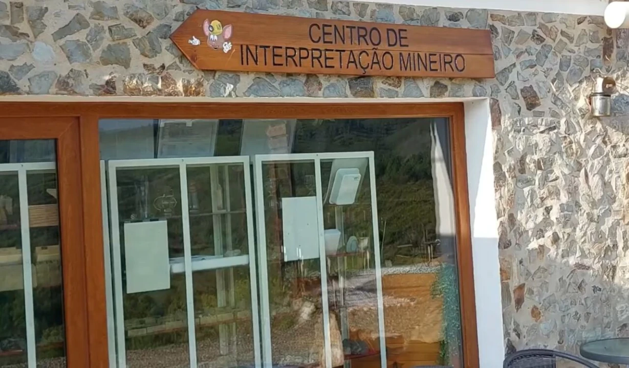 Quinta T9 para Venda em Barco e Coutada Foto 56