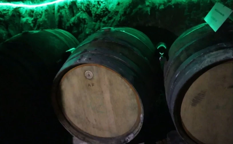 Quinta T9 para Venda em Barco e Coutada Foto 19