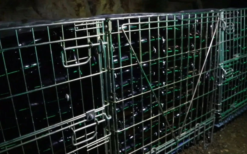 Quinta T9 para Venda em Barco e Coutada Foto 21