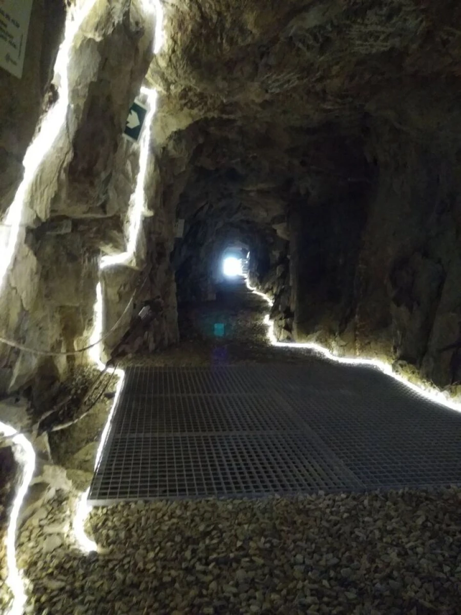 Quinta T9 para Venda em Barco e Coutada Foto 30