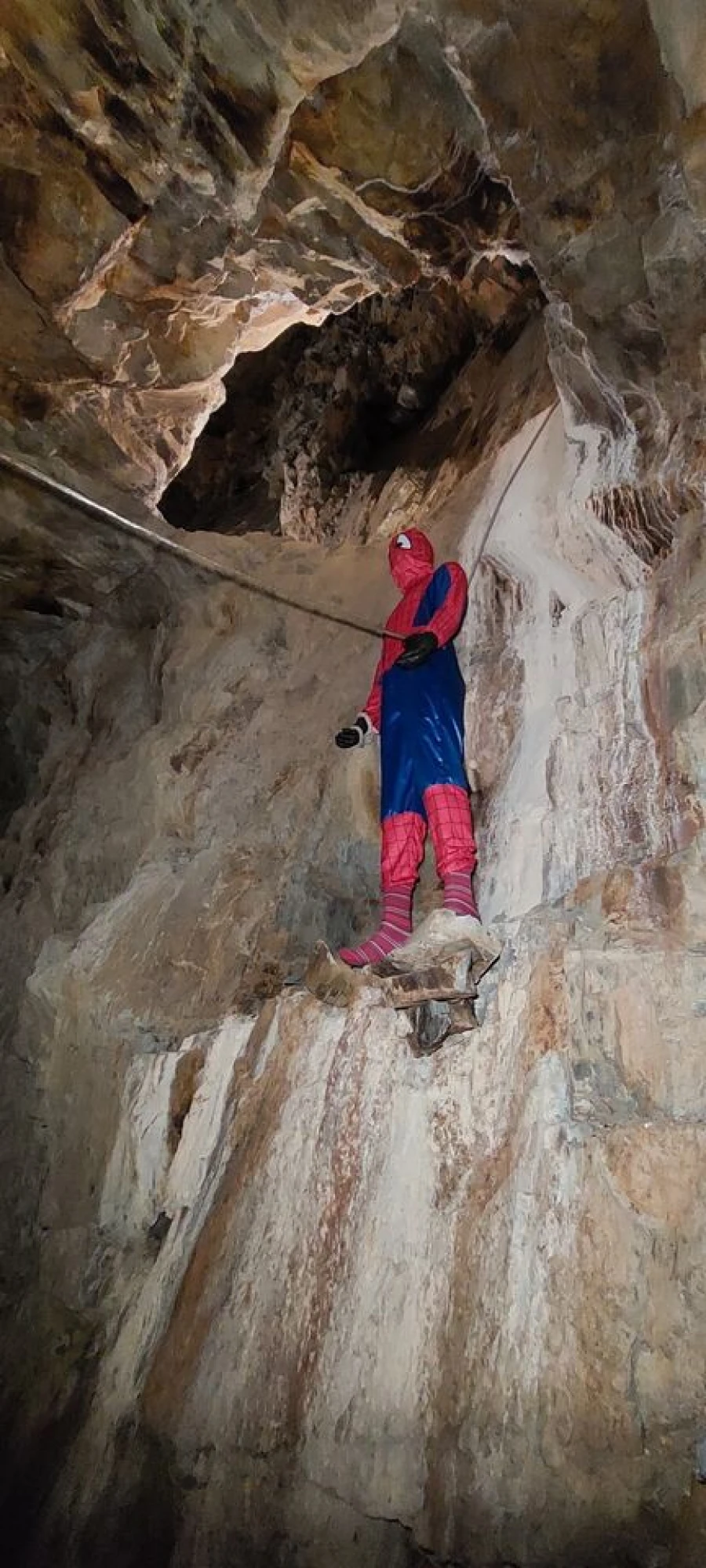 Quinta T9 para Venda em Barco e Coutada Foto 49