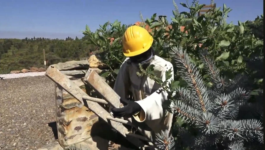 Quinta T9 para Venda em Barco e Coutada Foto 54