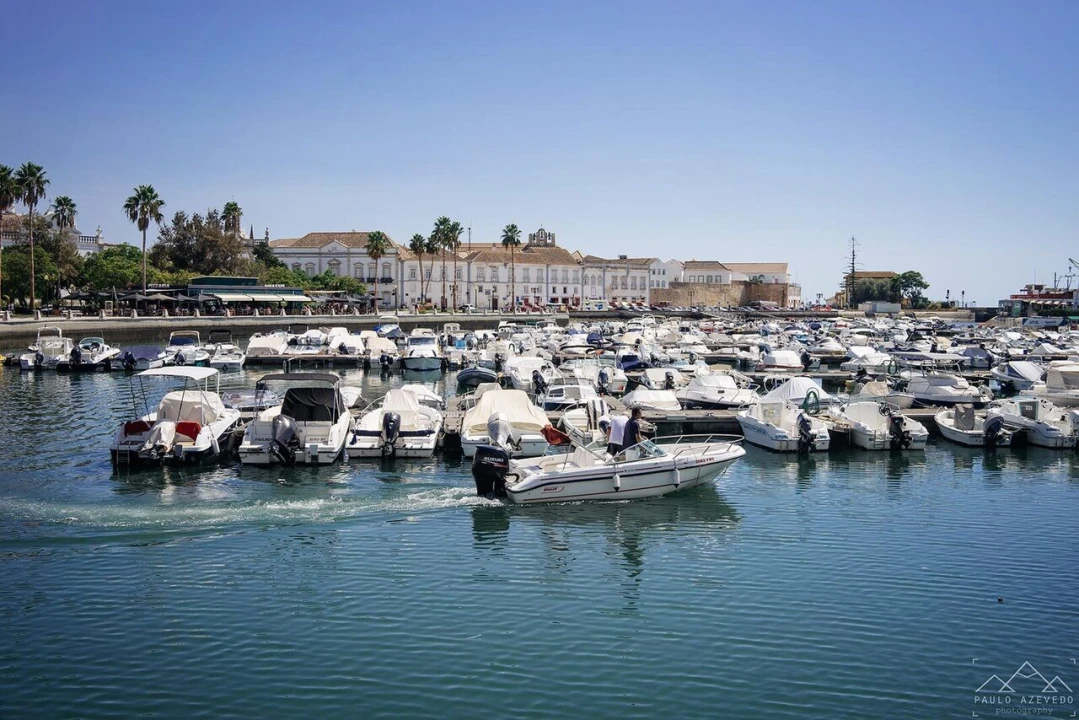 Terreno para Venda em Faro (Sé e São Pedro) Foto 5