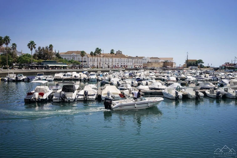 Terreno para Venda em Faro (Sé e São Pedro) Foto 5