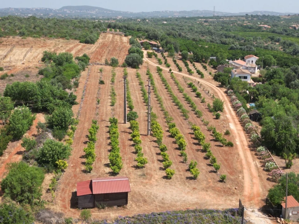 Terreno para Venda em Algoz e Tunes Foto 3