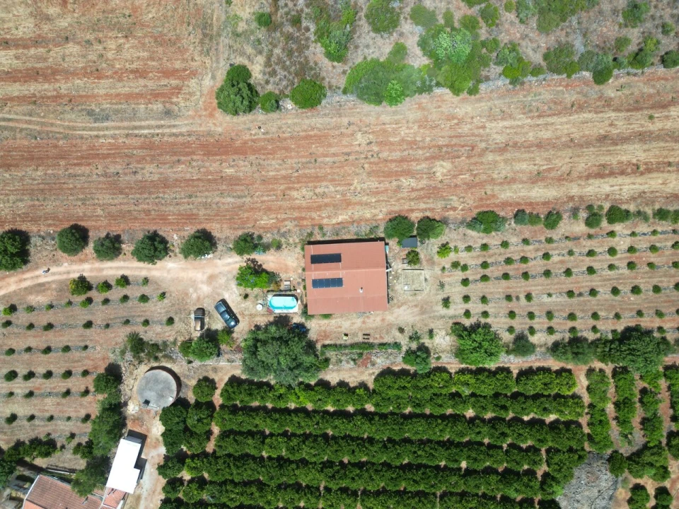 Terreno para Venda em Algoz e Tunes Foto 12