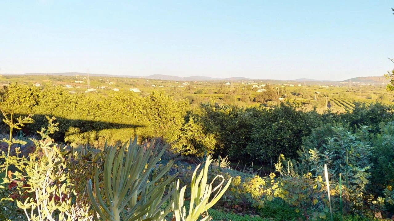 Terreno para Venda em Algoz e Tunes Foto 44