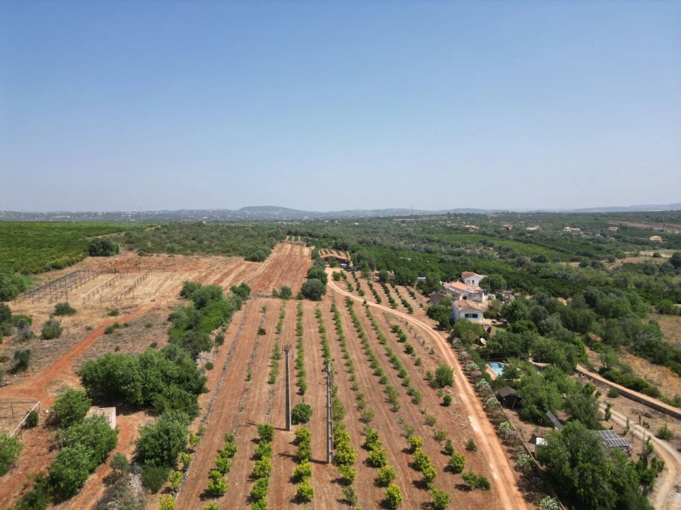 Terreno para Venda em Algoz e Tunes Foto 48