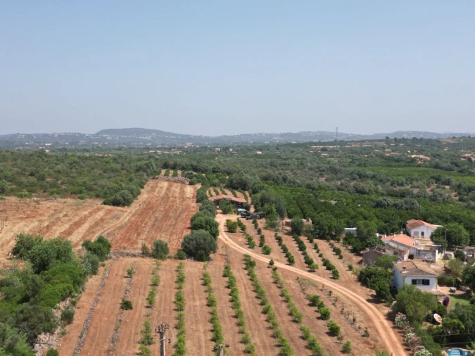 Terreno para Venda em Algoz e Tunes Foto 49