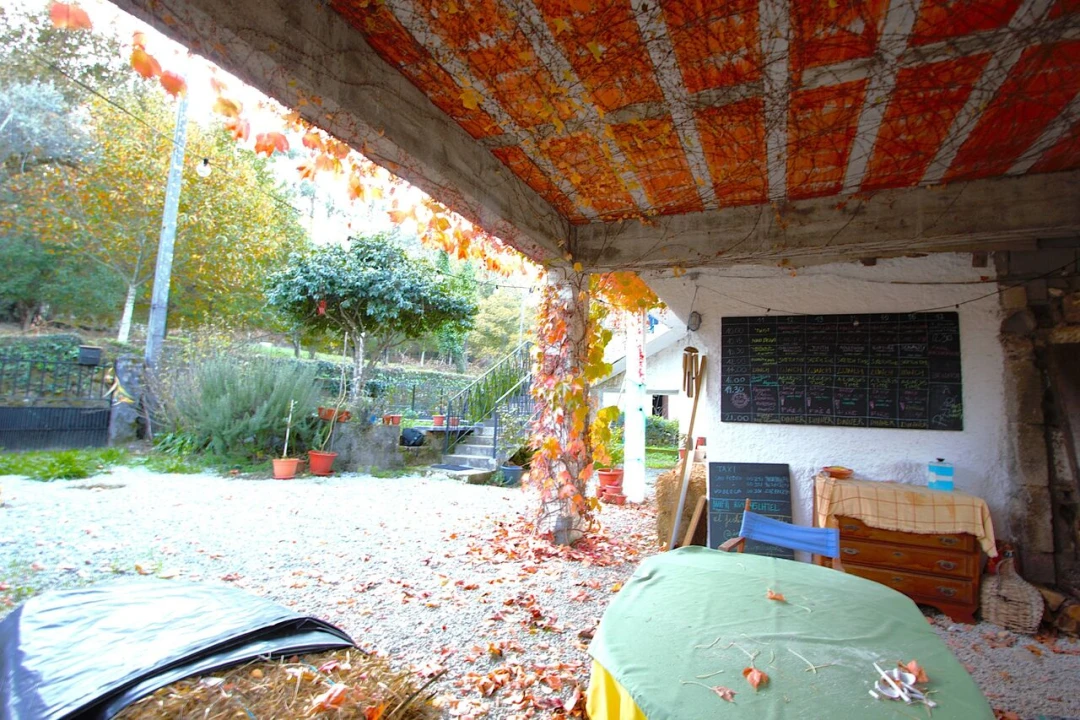 Quinta T7 para Venda em Fataunços e Figueiredo das Donas Foto 9