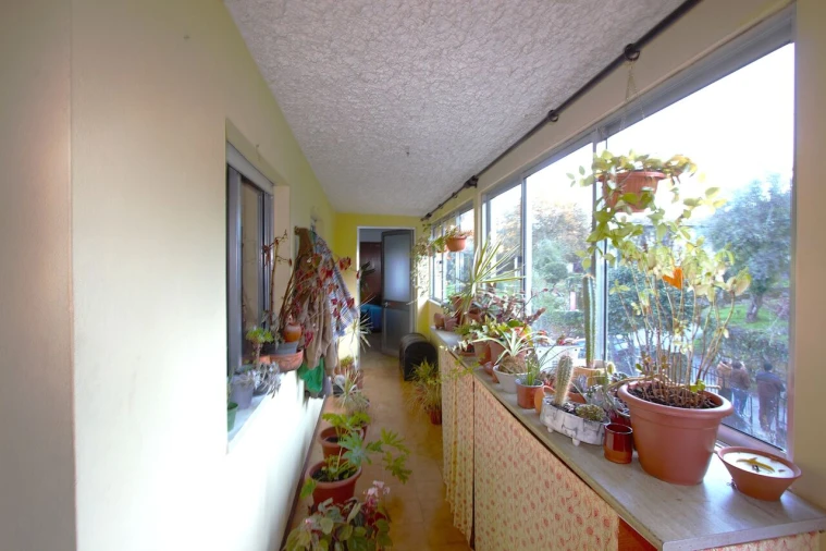 Quinta T7 para Venda em Fataunços e Figueiredo das Donas Foto 17