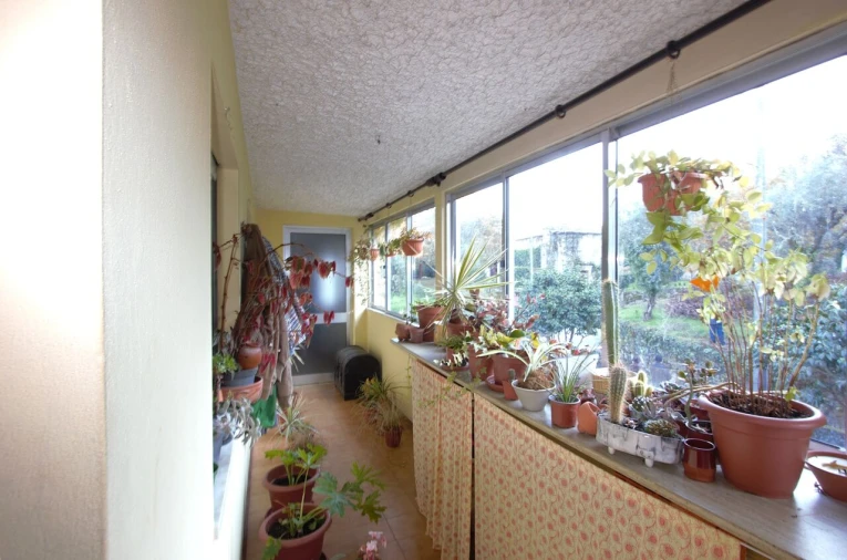 Quinta T7 para Venda em Fataunços e Figueiredo das Donas Foto 18