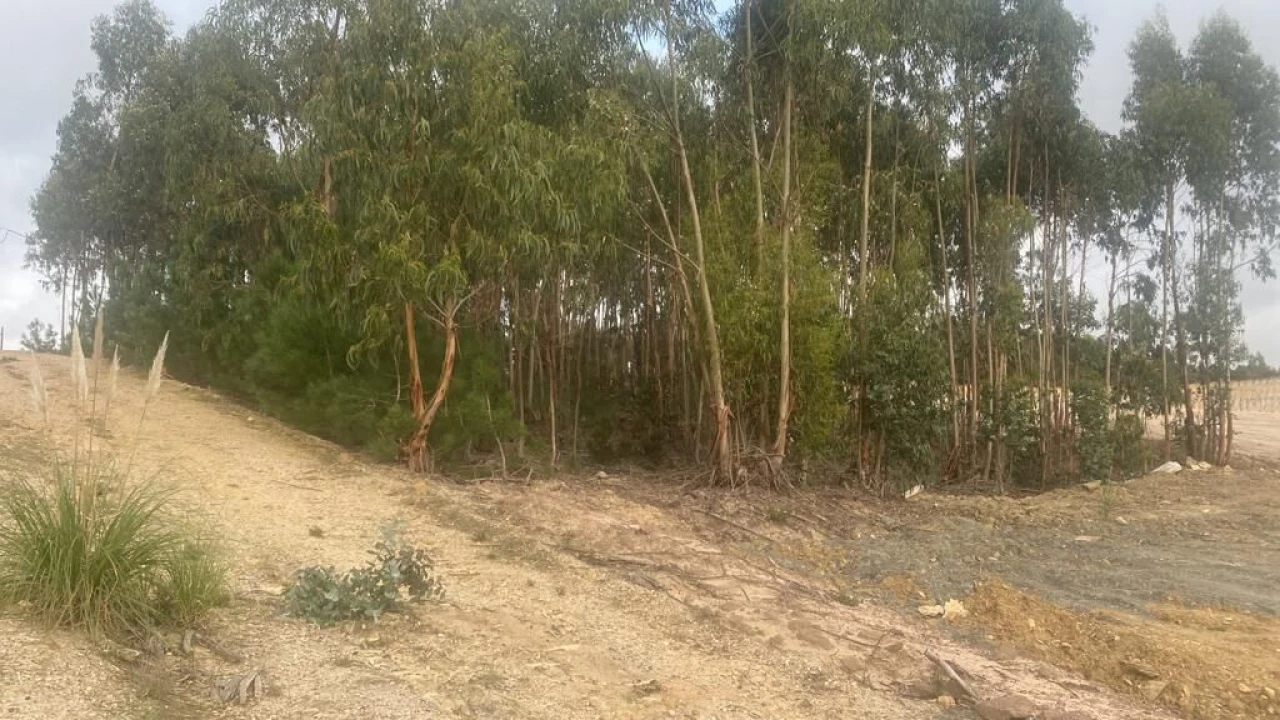 Terreno para Venda em Santa Maria, São Pedro e Matacães Foto 4