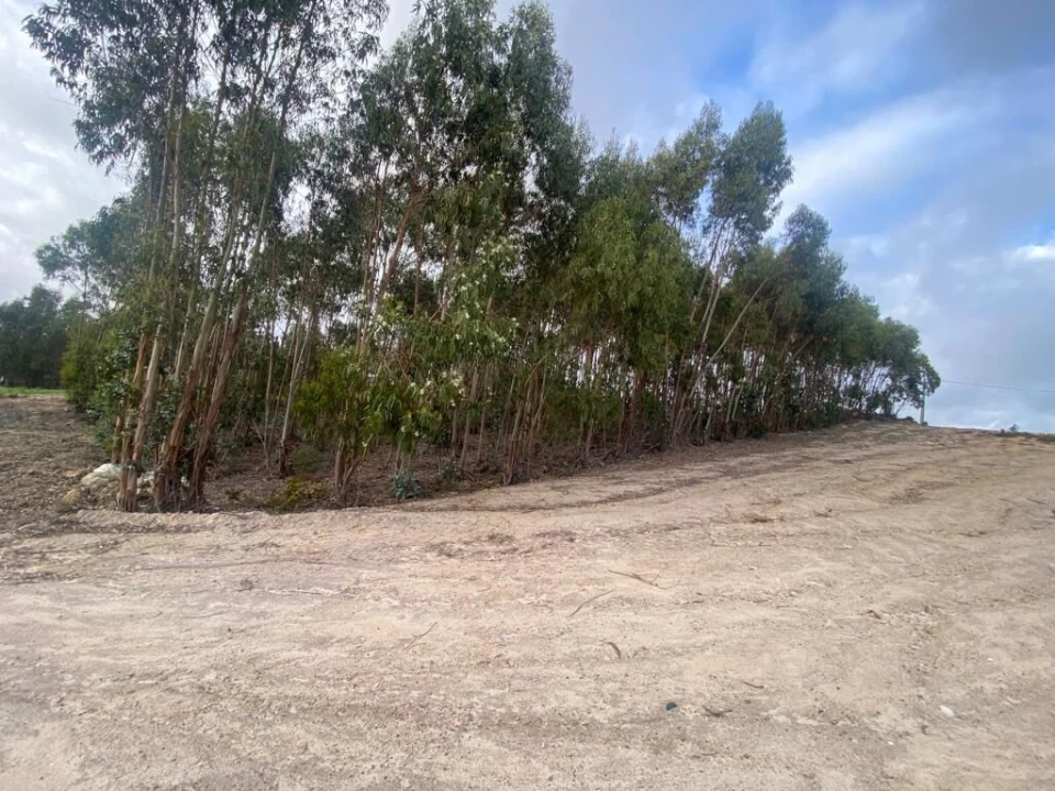 Terreno para Venda em Santa Maria, São Pedro e Matacães Foto 10