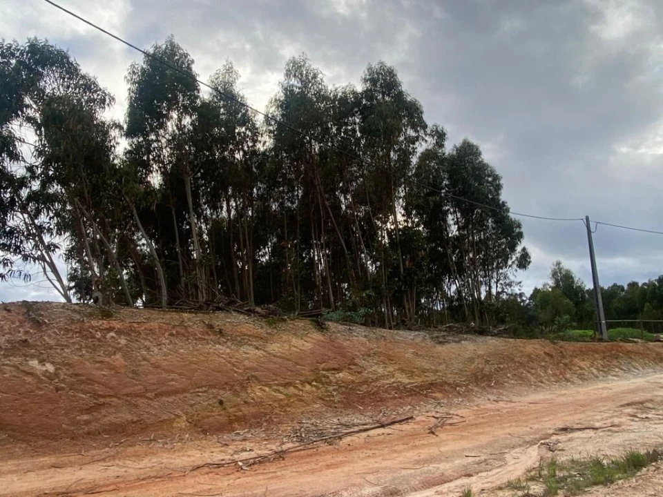 Terreno para Venda em Santa Maria, São Pedro e Matacães Foto 13