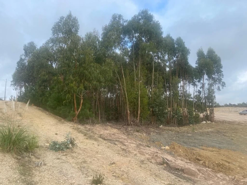 Terreno para Venda em Santa Maria, São Pedro e Matacães Foto 26