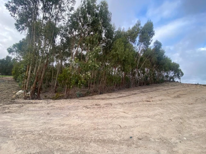 Terreno para Venda em Santa Maria, São Pedro e Matacães Foto 10