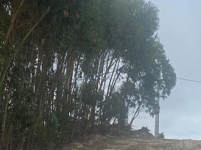 Terreno para Venda em Santa Maria, São Pedro e Matacães Foto 32