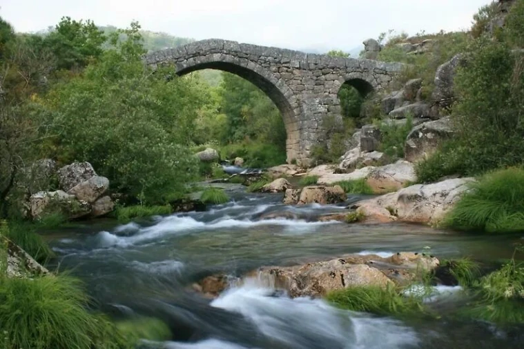 Apartamento T2 para Venda em Castro Laboreiro e Lamas de Mouro Foto 6