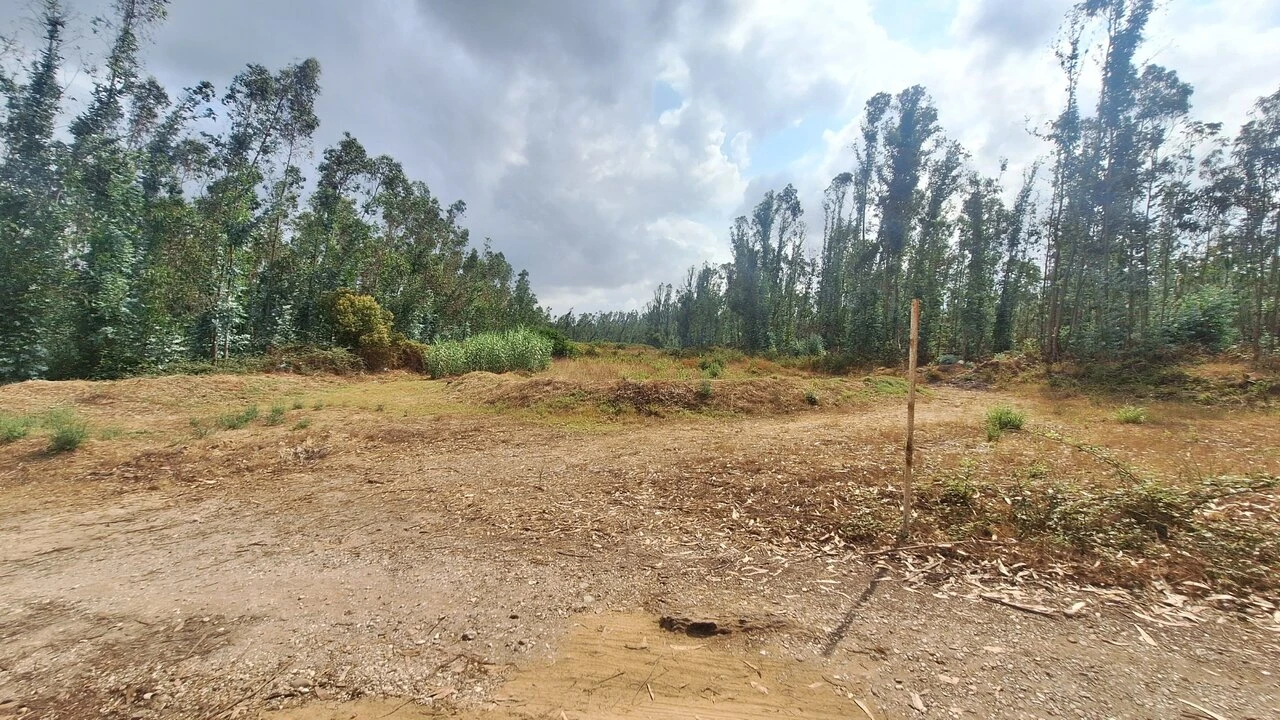 Terreno para Venda em Marrazes e Barosa Foto 3