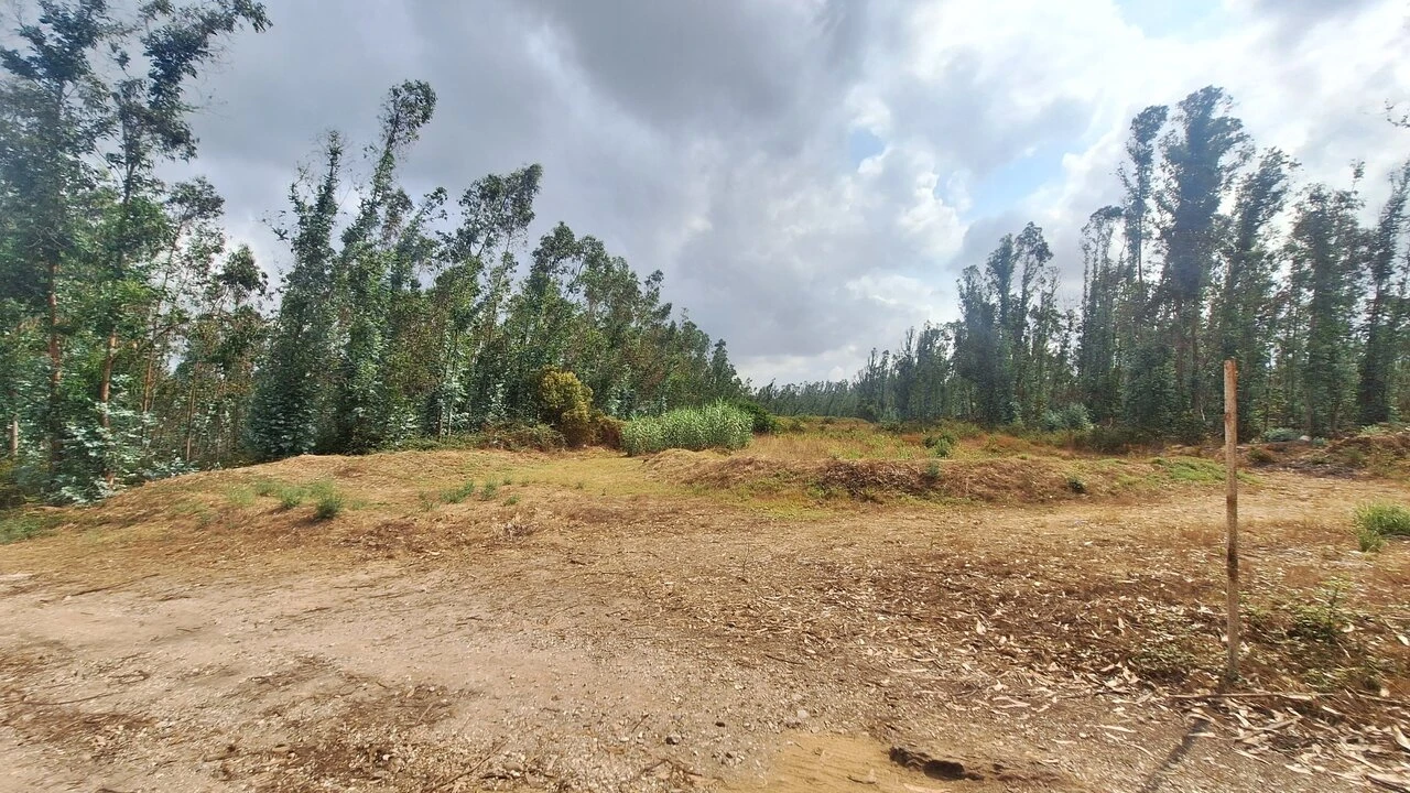 Terreno para Venda em Marrazes e Barosa Foto 5