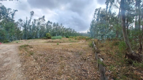 Terreno para Venda em Marrazes e Barosa