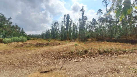 Terreno para Venda em Marrazes e Barosa