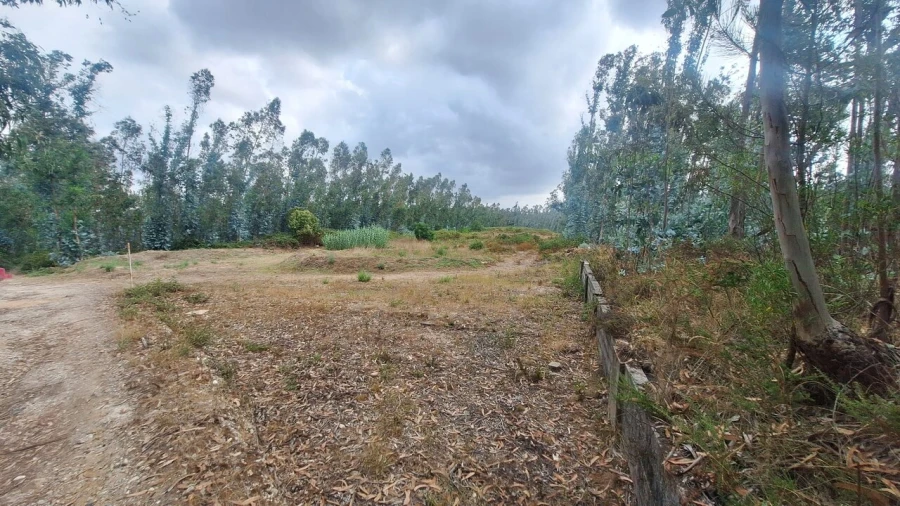 Terreno para Venda em Marrazes e Barosa Foto 2