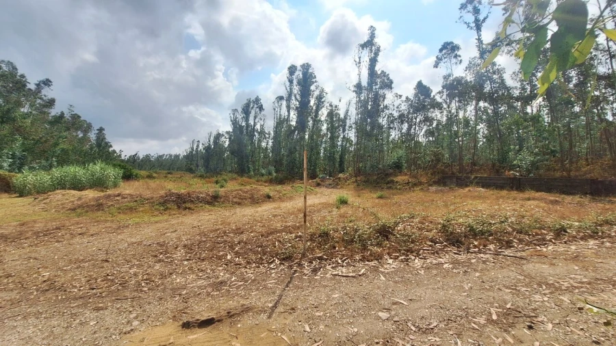 Terreno para Venda em Marrazes e Barosa Foto 4