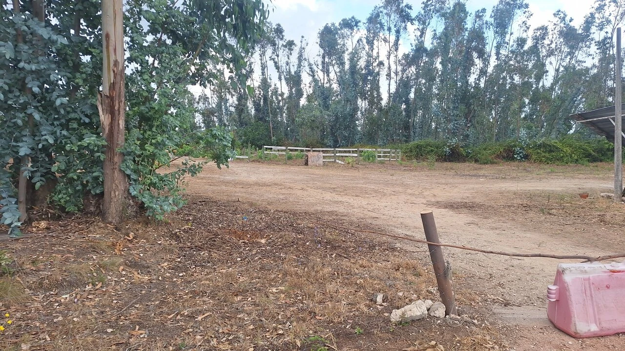 Terreno para Venda em Marrazes e Barosa Foto 4