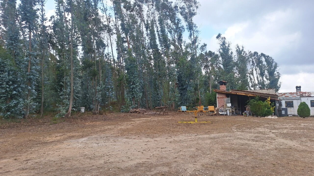 Terreno para Venda em Marrazes e Barosa Foto 5