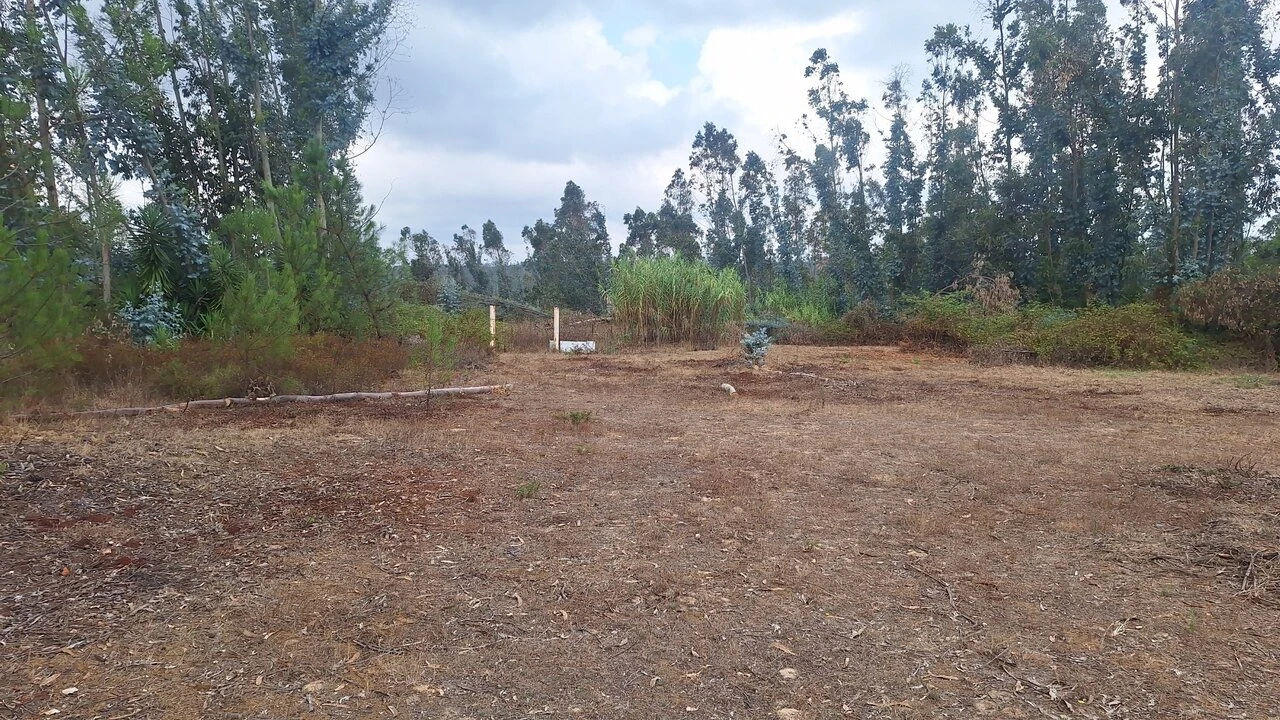 Terreno para Venda em Marrazes e Barosa Foto 6