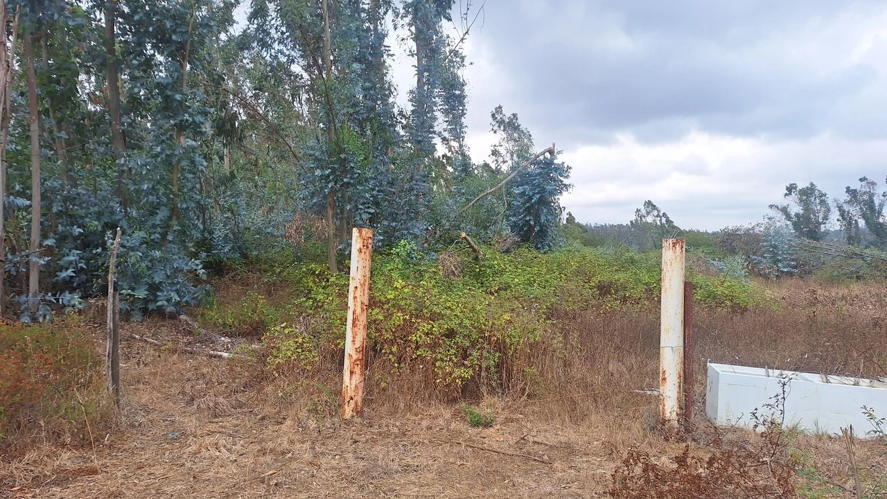 Terreno para Venda em Marrazes e Barosa Foto 8