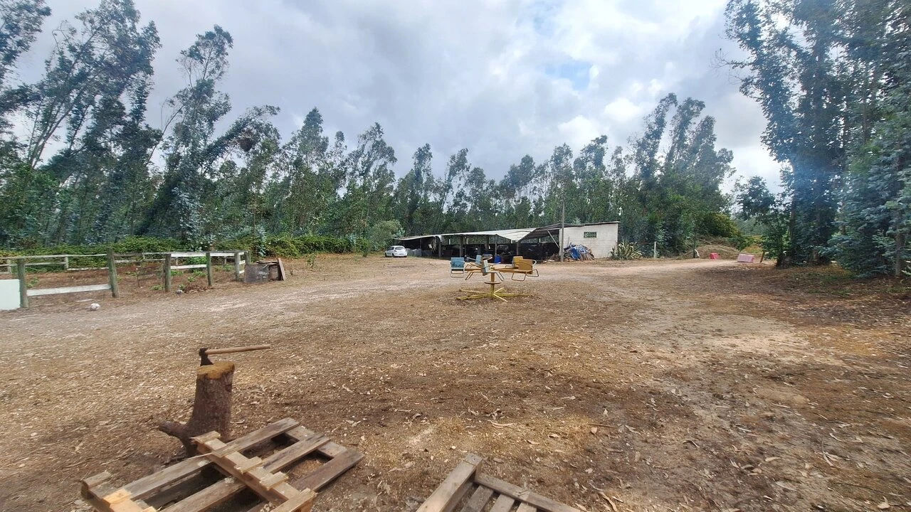 Terreno para Venda em Marrazes e Barosa Foto 13