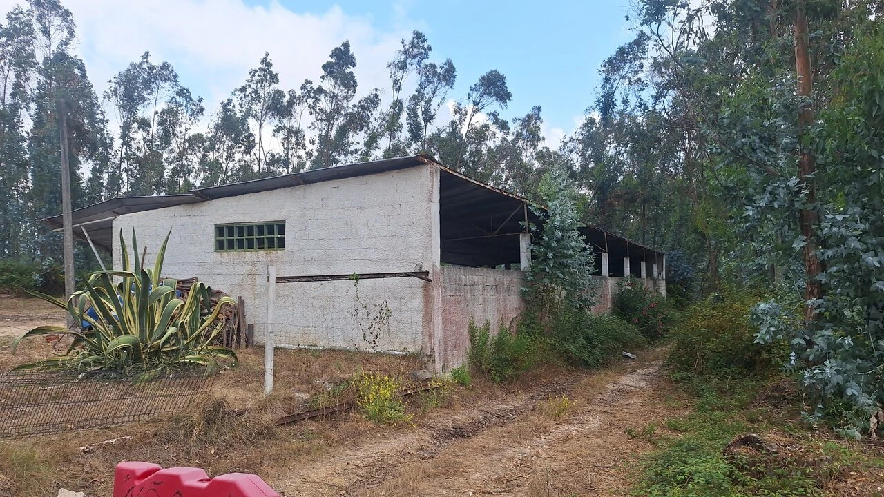 Terreno para Venda em Marrazes e Barosa Foto 17