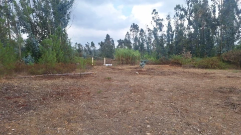 Terreno para Venda em Marrazes e Barosa