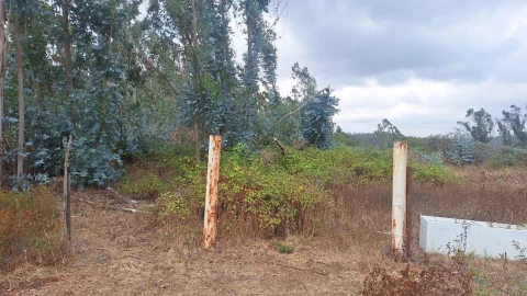 Terreno para Venda em Marrazes e Barosa