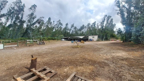 Terreno para Venda em Marrazes e Barosa