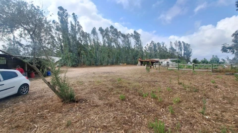 Terreno para Venda em Marrazes e Barosa
