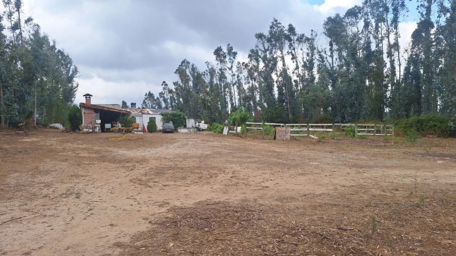 Terreno para Venda em Marrazes e Barosa Foto 3